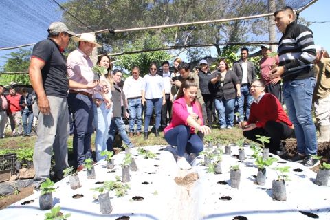 Sistema MAG comprometido para potenciar una producción continúa en la ciudad de Areguá