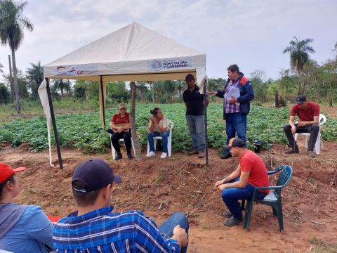 Productores de Caazapá se capacitan en producción de papa