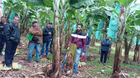 Productores indígenas realizaron una gira técnica de capacitación sobre producción de banano