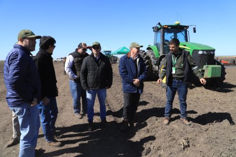 Producción de arroz;  una apuesta prometedora para el país