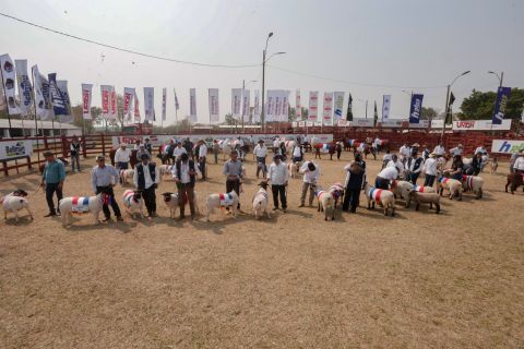 Presencia del MAG en la Expo Norte 2024