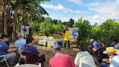 MAG impulsa prácticas agrícolas sostenibles en Guairá con capacitación técnica a productores