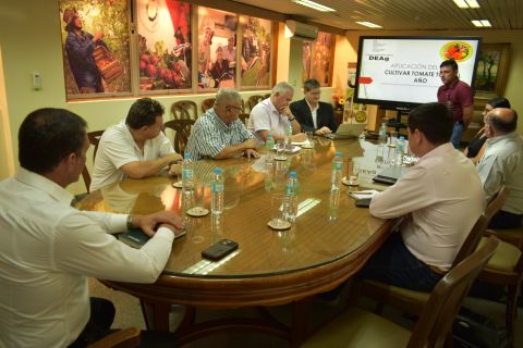 Producción de tomates podrá abastecer parte del plan “Hambre Cero
