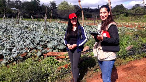Mujeres rurales: Protagonistas del desarrollo en las fincas agropecuarias