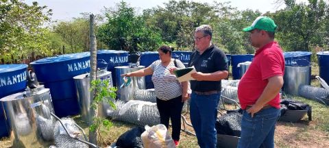 Productores de Concepción mejoran capacidades para producir alimentos