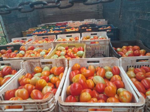 Hambre Cero: productores de Caaguazú recaudaron más de G. 400 millones con el fruto de sus cosechas