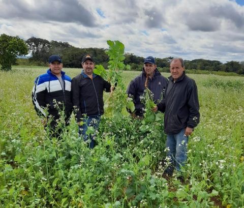 Asistencia del MAG, logra buenos resultados en las fincas productivas aplicando tecnologías sustentables y a bajo costo