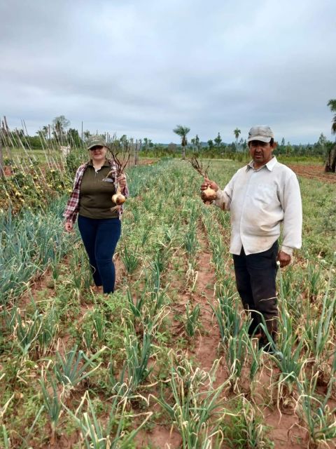Buen manejo de las inversiones del MAG en el campo, garantiza una buena productividad 
