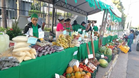 Productores de tres departamentos ofertarán sus productos en San Lorenzo