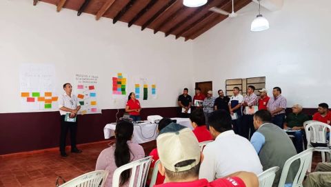 Técnicos del MAG fortalecen sus capacidades en mercados agropecuarios sostenibles