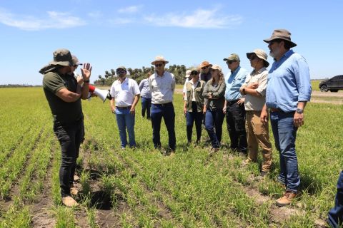 Firman acuerdo para establecer la Mesa de Competitividad del Arroz