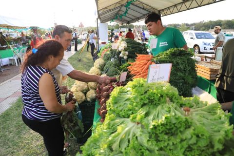 Ferias agropecuarias dinamizan la economía de las familias rurales