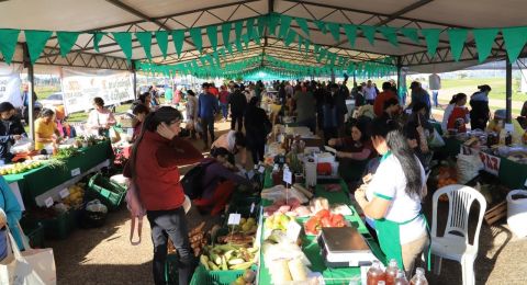 Feria distrital del MAG, logra recaudar más de cien millones de guaraníes en beneficio de los pequeños productores