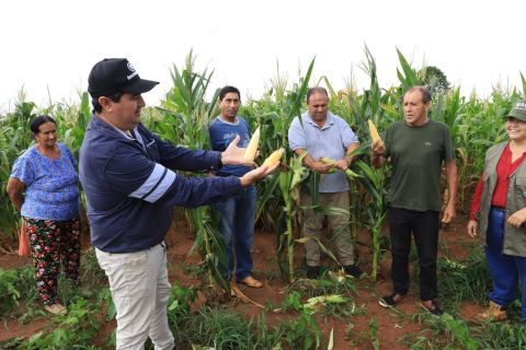 Aplicación de tecnologías logran excelente producción  en las fincas de Caaguazú