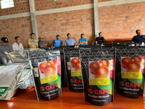 MAG impulsa la producción de cebolla en Itapúa con entrega de insumos a casi 400 productores