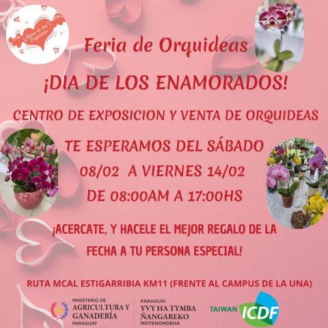 Feria y Exposición de Orquídeas por el Día de los Enamorados