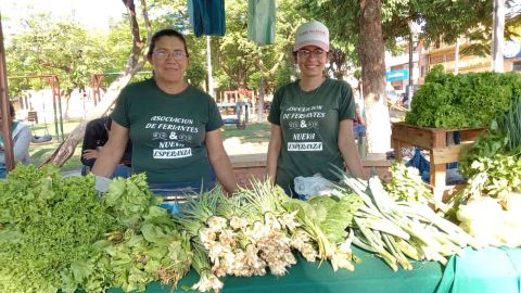 Ferias agropecuarias del MAG, en la ciudad de Concepción se posiciona como una excelente opción de compra para la ciudadanía