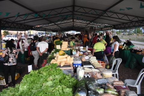 Productores logran recaudación que supera los G. 300 millones en una jornada de ferias
