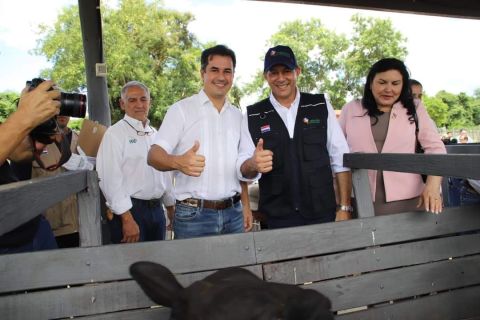 Inicia el primer periodo de vacunación contra la Fiebre Aftosa 2024