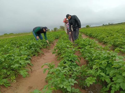 Extensión rural ayuda a mejorar las condiciones de producción en las fincas