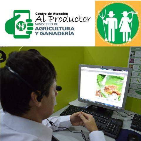 MAG asiste virtualmente a productores mediante el uso de las nuevas técnologías