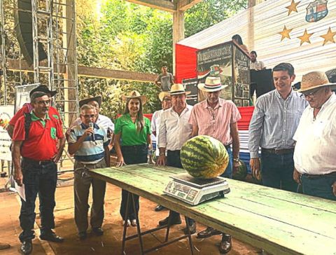 19,520 kilos obtuvo la Sandía de mayor peso  en Paso Guembé