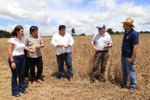 Excelentes expectativas de rendimiento de la soja como rubro dentro de la Agricultura Familiar campesina