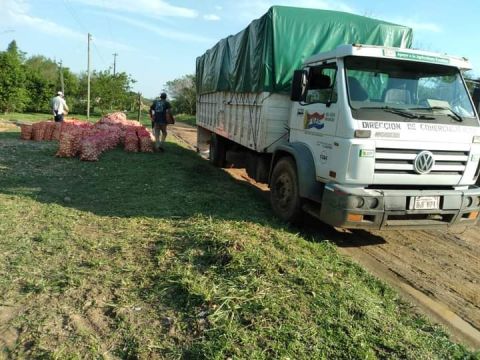 Mejora precio de comercialización de la cebolla nacional con medidas adoptadas por el MAG