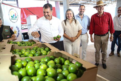 Paraguay concreta el primer envío de limón Tahití a la Argentina de la mano de la Agricultura Familiar